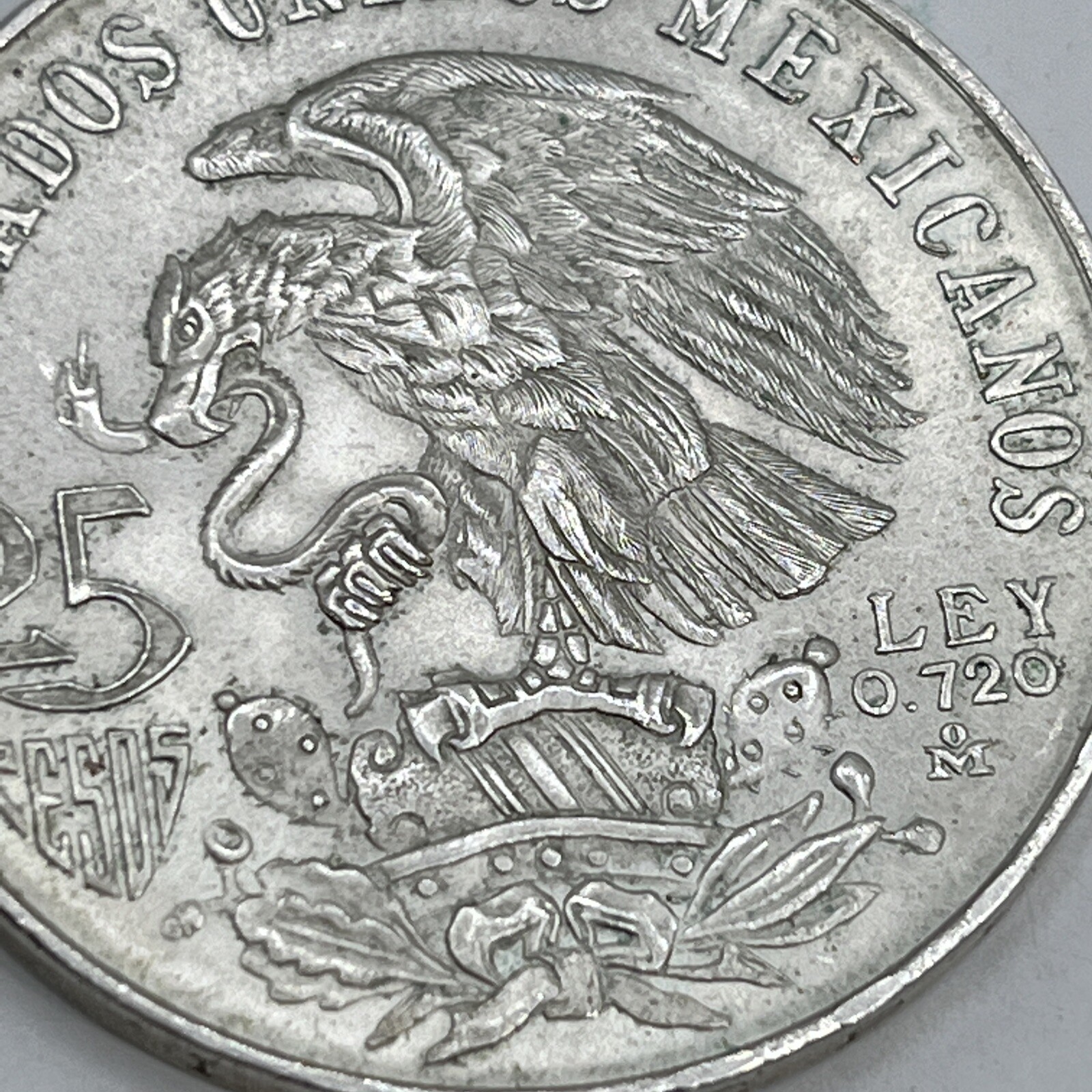 Picture 8 of 24