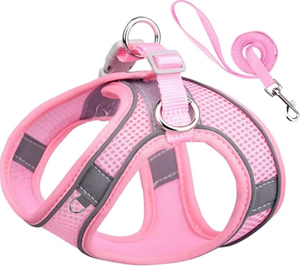 Dog Harness No Pull Puppy Harness and Leash Set Comfort, Safety, and Stylish