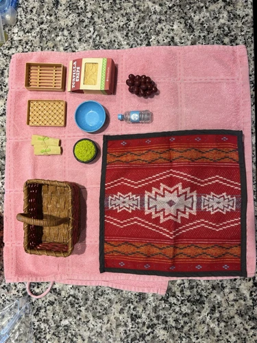 American Girl of The Year Doll SAIGE Saige’s Picnic Set - Complete EUC