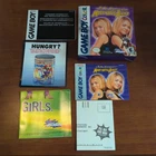 New Adventures of Mary-Kate & Ashley Nintendo Game Boy Color Box & Manual Only
