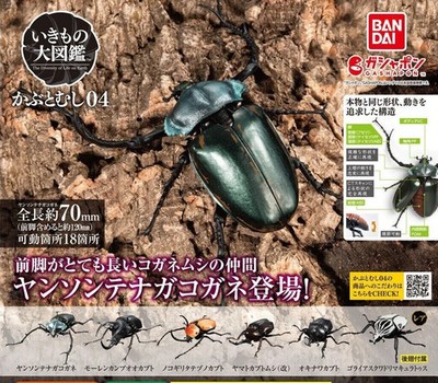 タカラ　世界の甲虫シリーズ　BEETLE OF THE WORLD Takara Beetle Of The World Trading Collection Vol 1 & 2 24 Mini