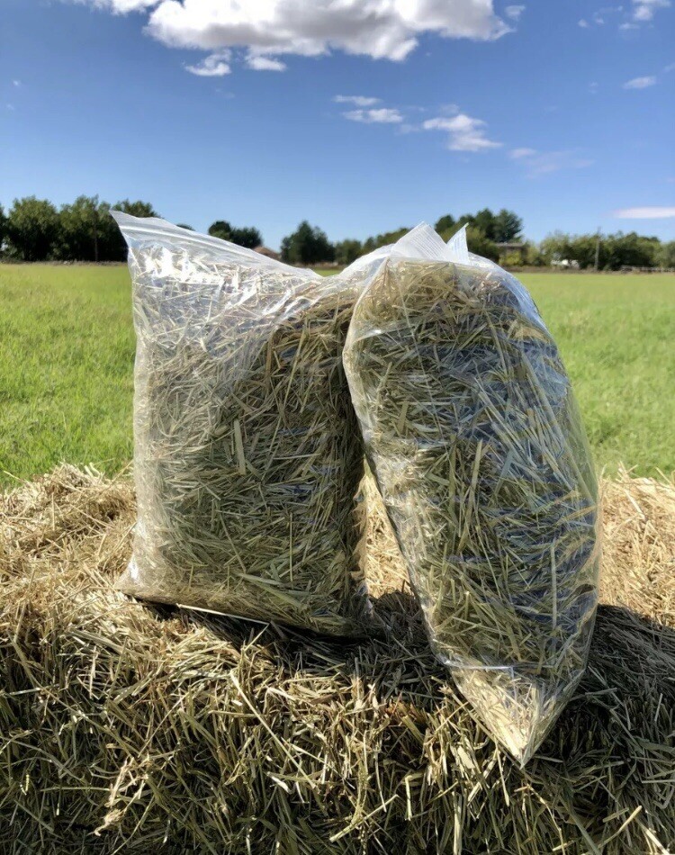Buy Grass Hay for Rabbits, Guinea Pigs, Chinchillas, Hamsters, Common