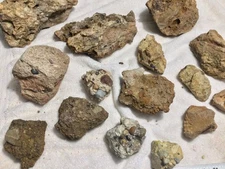 Unprocessed, Rough, Unidentified, fossil dinosaur bone 18 quantity LOT.