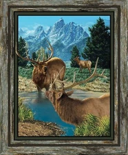Elk Wildlife Fabric Wall or Quilt Top Panel 100% Cotton Springs Wild Wings