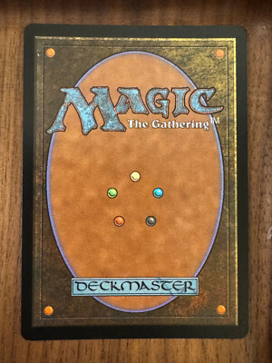 Descendants' Path (Borderless) [Secret Lair Drop Series] MTG Near