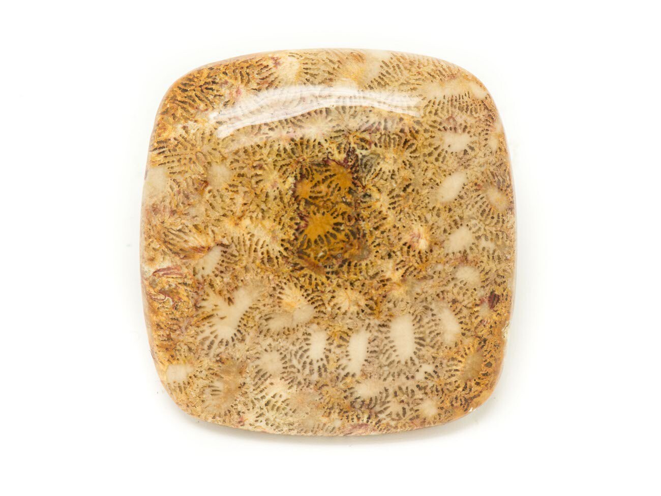 Cabochon de pierre corail fossile carré pour donner de l'authenticité à vos pendentifs