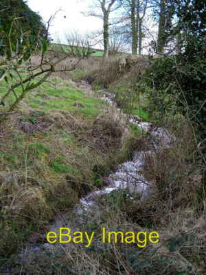 Foto 6x4 Linns brennen bei Linns Woodside \/NY0475 um 2007