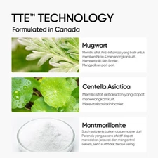 2 Boxes [ SKINTIFIC ] 55 g Mugwort Mask 4cne Clay Mask Free Shipping