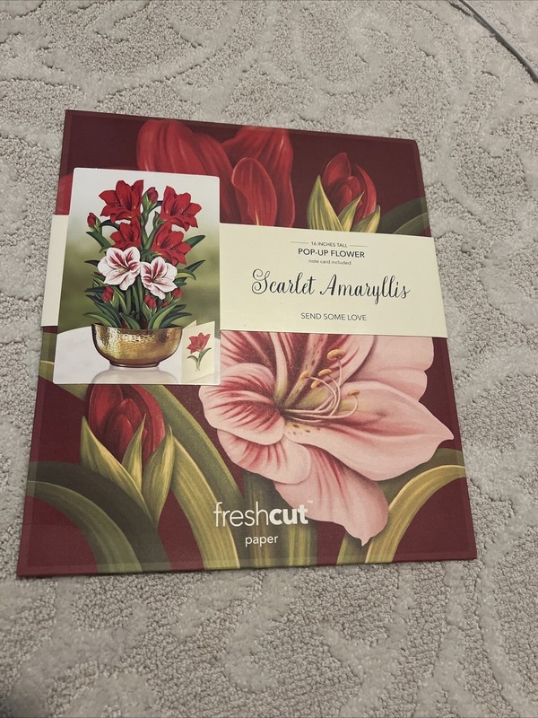 Freshcut Paper Life Sized 16 inch Pop Up Cards, Scarlet Amaryllis Flower Bouquet