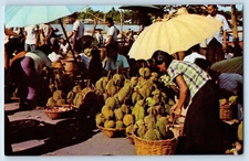 Nonburi Thailand Postcard Durian Most Delicious Fruit of Thailand c1960's