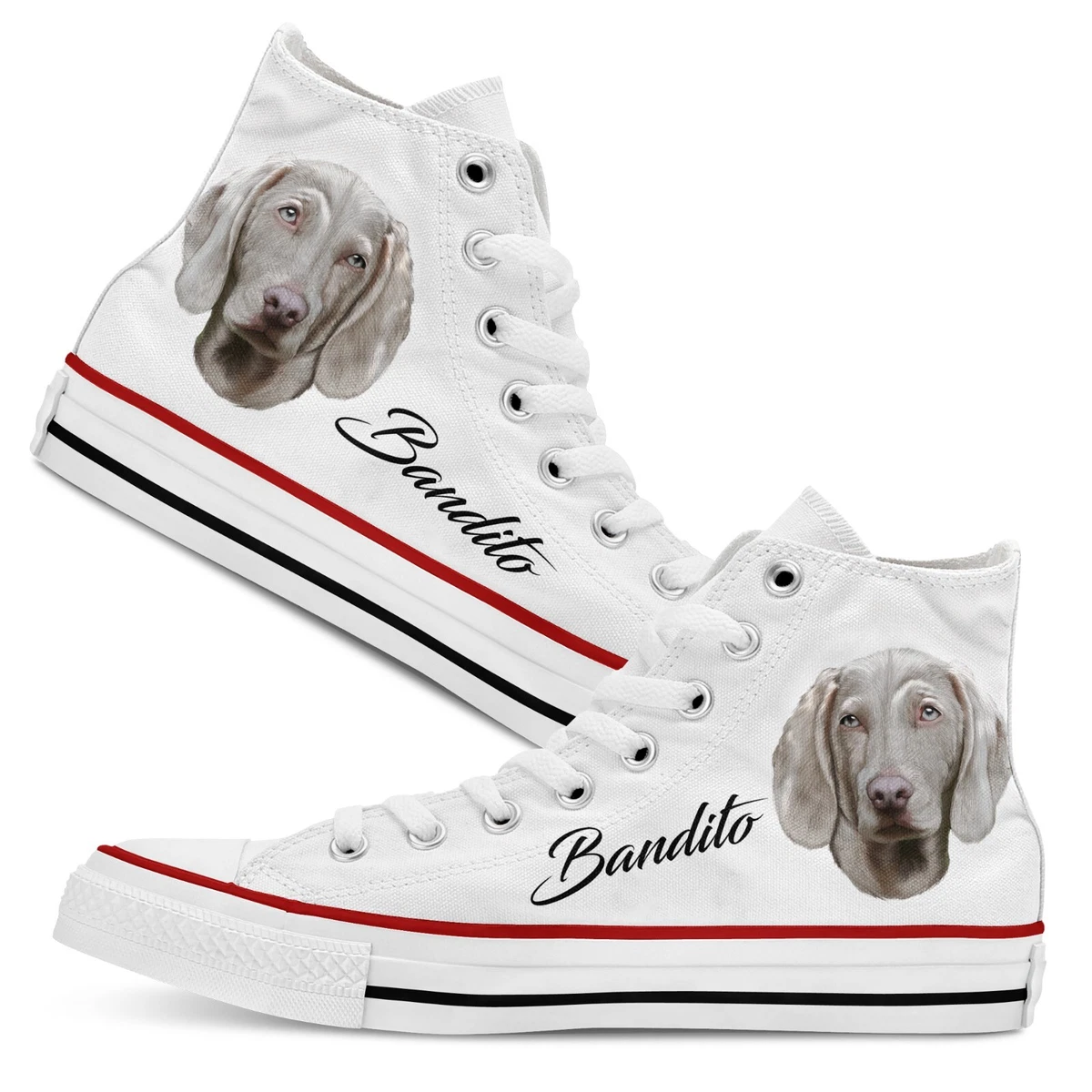 Share more than 164 weimaraner shoes latest kenmei.edu.vn