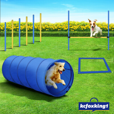 Pawise Dog Agility Equipment Set Pet Obstacle Training Course Pole Tunnel  28 PCS
