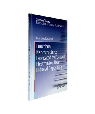 Functional Nanostructures Fabricated by Focused Electron/Ion Beam Induced Deposi