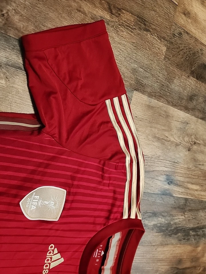 Camiseta De Colección Adidas Climacool España FIFA 2010 Campeones del Mundo Fútbol Hombre’s Mediana Foto 3 de 4