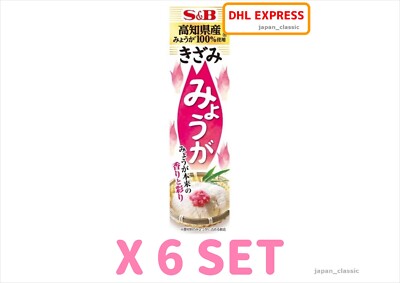 S&B SEASONING PASTE MYOGA JAPANESE GINGER CHOPPED 38g X 6 SET