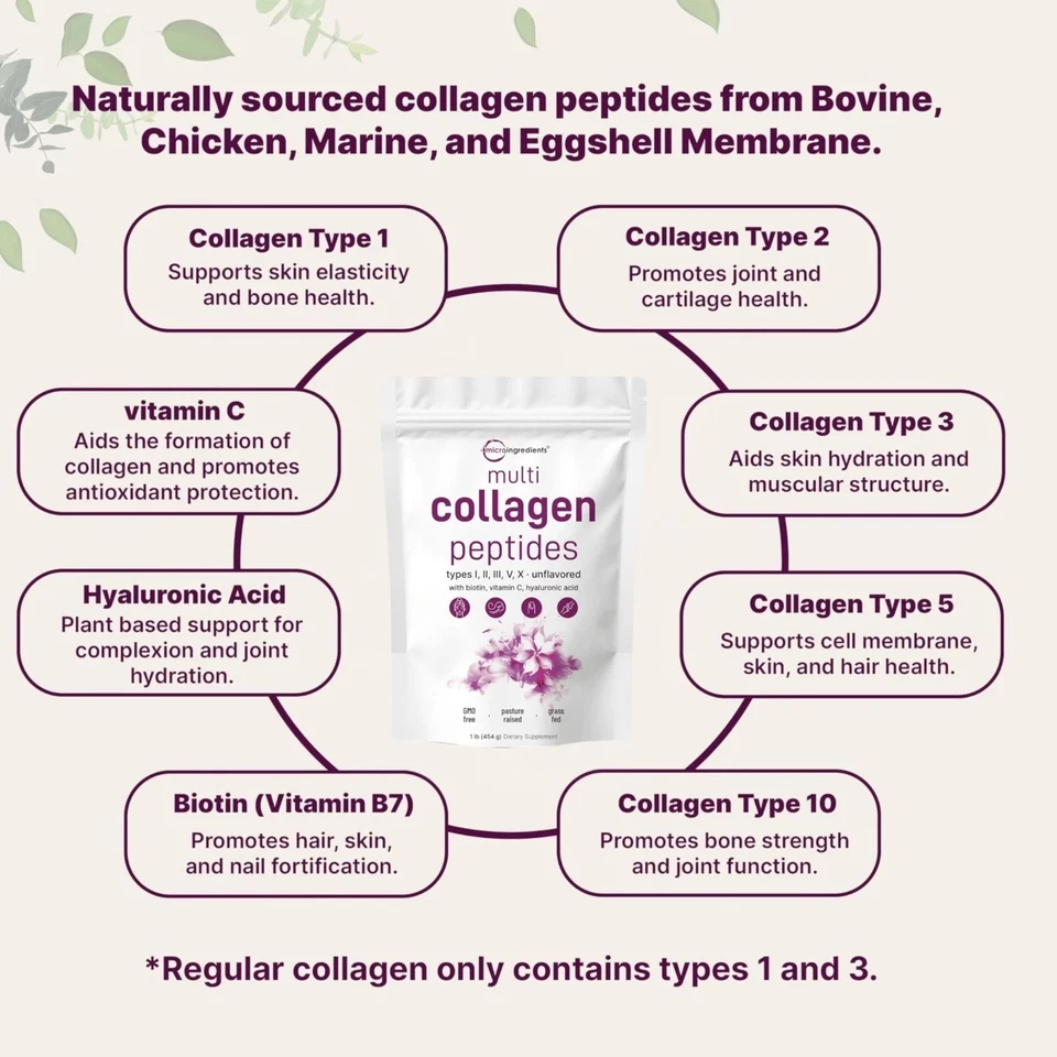 Unflavored Multi Collagen Peptides 16oz - Types I-II-III-V-X | Micro Ingredients - Image 3 of 4