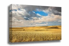 Corn Field Canvas: Iowa Midwest Farm Country Rural Autumn Landscape Wall Art