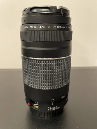 Canon EF 75-300mm f/4-5.6 III Lens