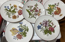 Kuba Porzellan Set of Five 5 Floral Salad Bread Plates Bavaria Germany Porcelain
