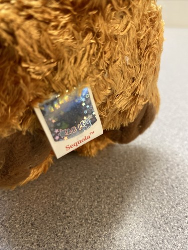 TY Beanie Baby - SEQUOIA the Brown Bear (5 inch) - MWMTs Stuffed Animal Toy - Picture 7 of 8
