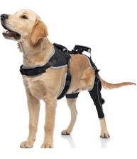 LISPOO Dog Knee Brace for Torn Acl Hind Leg,Dog Leg Braces for Back Leg XL