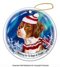 Brittany Northern Lights Twelve Days of Treats Holiday Ornament