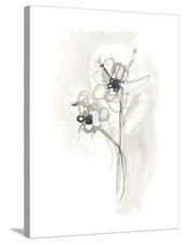 Stretched Canvas Print Neutral Floral Gesture VII by June Erica Vess, 24" x 32"