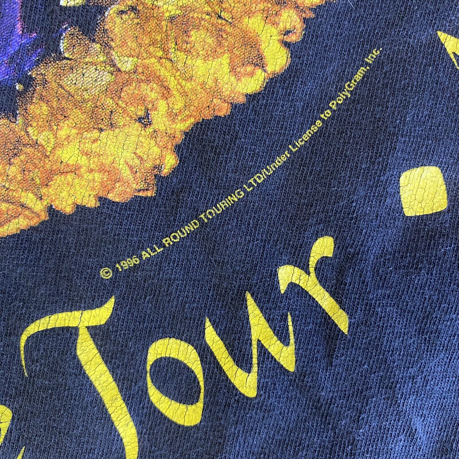 Vintage The Cranberries Free To Decide Tour 1996 Adul… Gem