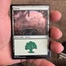 1x Forest (262/264) - MTG War Of The Spark NM Magic