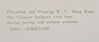 HONG KONG Old Postcard Ploughing and Planting Chinese Farmers busy Spring Autumn — photo 3
