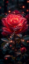 Digital Image Picture Phone Background AI Art, x8 Glowing Rose
