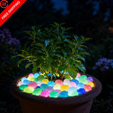 1000Pcs Glow in The Dark Stones Outdoor, Mixed Colors for Landscaping
