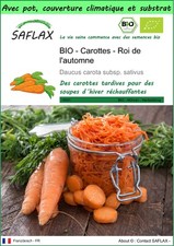 SAFLAX - Garden to go - BIO - Carottes - Roi de l'automne - 1000 Graines