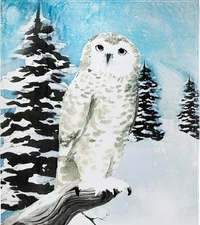 Snowy White Owl SOFT Throw Blanket, BRAND NEW, Harry Potter, Hedwig, 50x60 NIP