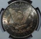 1884 CC Morgan Dollar NGC MS62