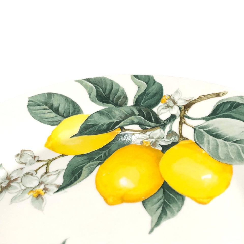 2 Royal Norfolk Lemon Printed Dinner Plate Ceramic 10 1/2 inch White