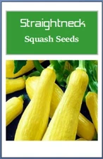 Straightneck Squash Seeds: Heirloom, Non-GMO Garden Seeds