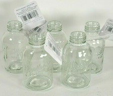 5 Propagation Station Glass Bottles Planter and Scape Wishing Bottle for Plants