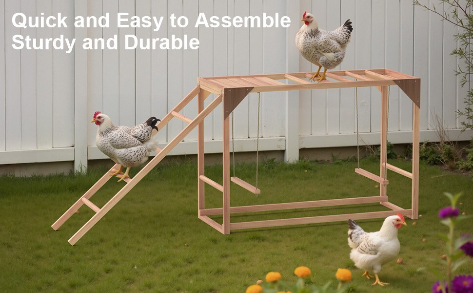Chicken Perch with 2 Chicken Swings, Ramp,  Chicken Perches Toys for Pet