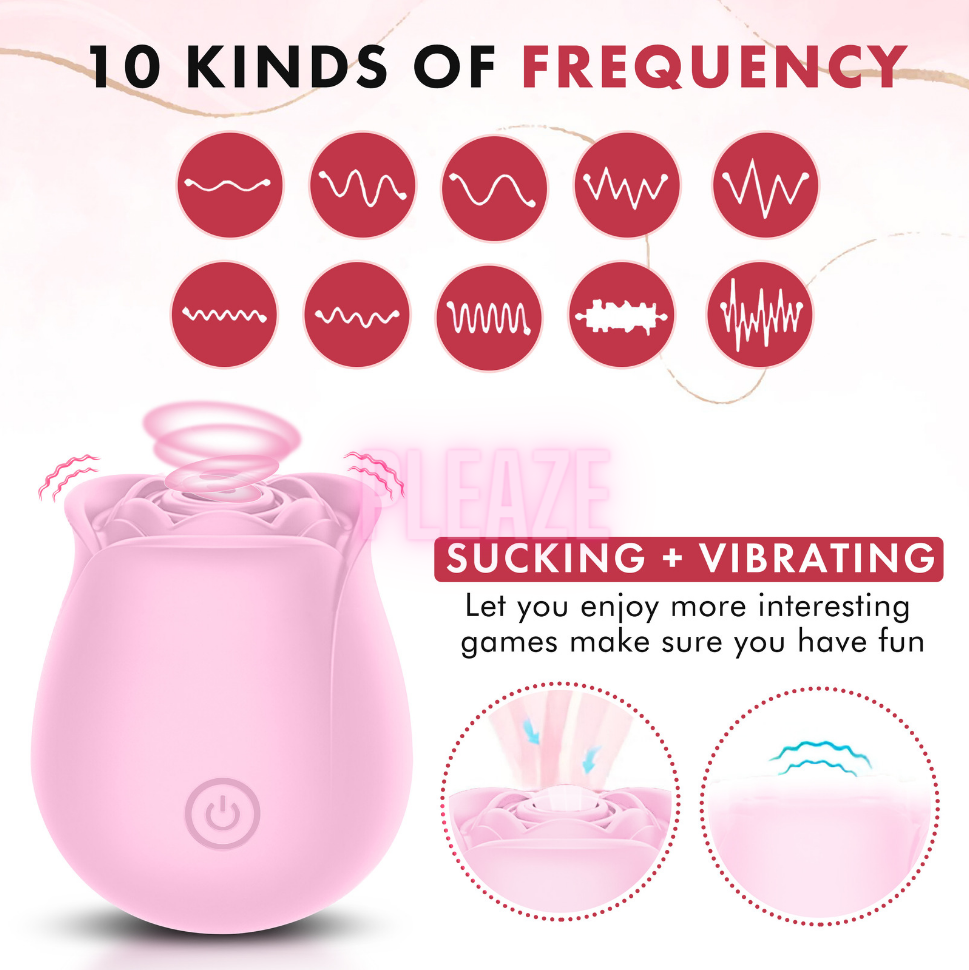 New! PLEAZE Adult Rose Shaped Sex Toy with 10 Different Frequencies and  Speeds