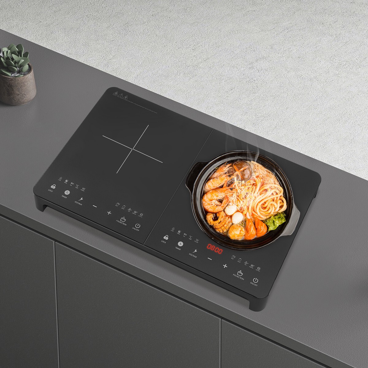 110V Double-head Induction Cookerp, Timing Induction Cooktop with