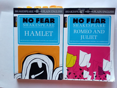 LOT of 2 Romeo and Juliet Hamlet No Fear Shakespeare - paperback Plain English