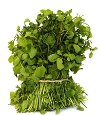 500+Watercress Seeds True Watercress Chinese Watercress Supperfood Microgreen US