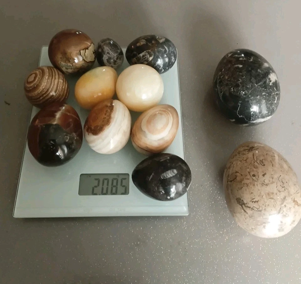 LOT DE 12 OEUFS DE COLLECTION  PIERRE - Photo 3/4