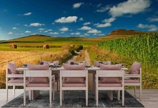 3D Cropland Corn Stalk Road Self-adhesive Removeable Wallpaper Wall Mural 379