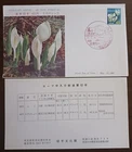JAPAN - 1967 - 45 YEN ARACEAE - FDC