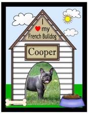 FRENCH BULLDOG PHOTO MAGNET  PERSONALIZED "YOUR PET PHOTO AND NAME"