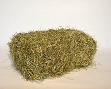 16 kg Heuballen Knabberheu (1. Schnitt) | Heu f&uuml;r Kaninchen Schafe Pferde Hasen