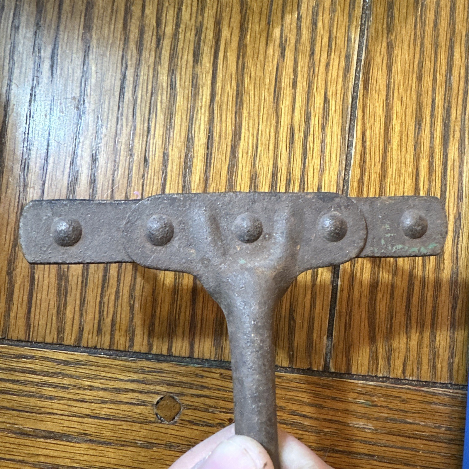 Shovel/Rake : Old Gardening Tool