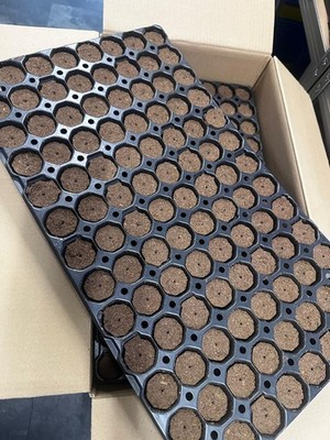Eazy Plug Steckling Tray CT104CR Rund Gross Anzucht Grow Samen Hanf Jiffy